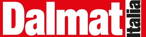 Dalmat Italia
